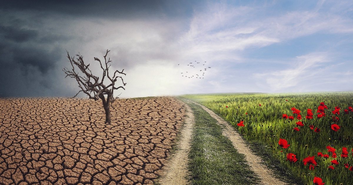 Badania klimatyczne przewiduja katastrofalne upaly