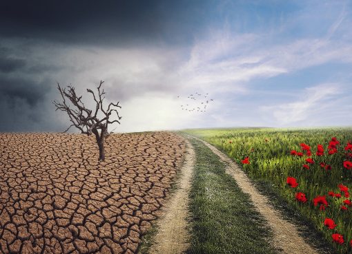 Badania klimatyczne przewiduja katastrofalne upaly