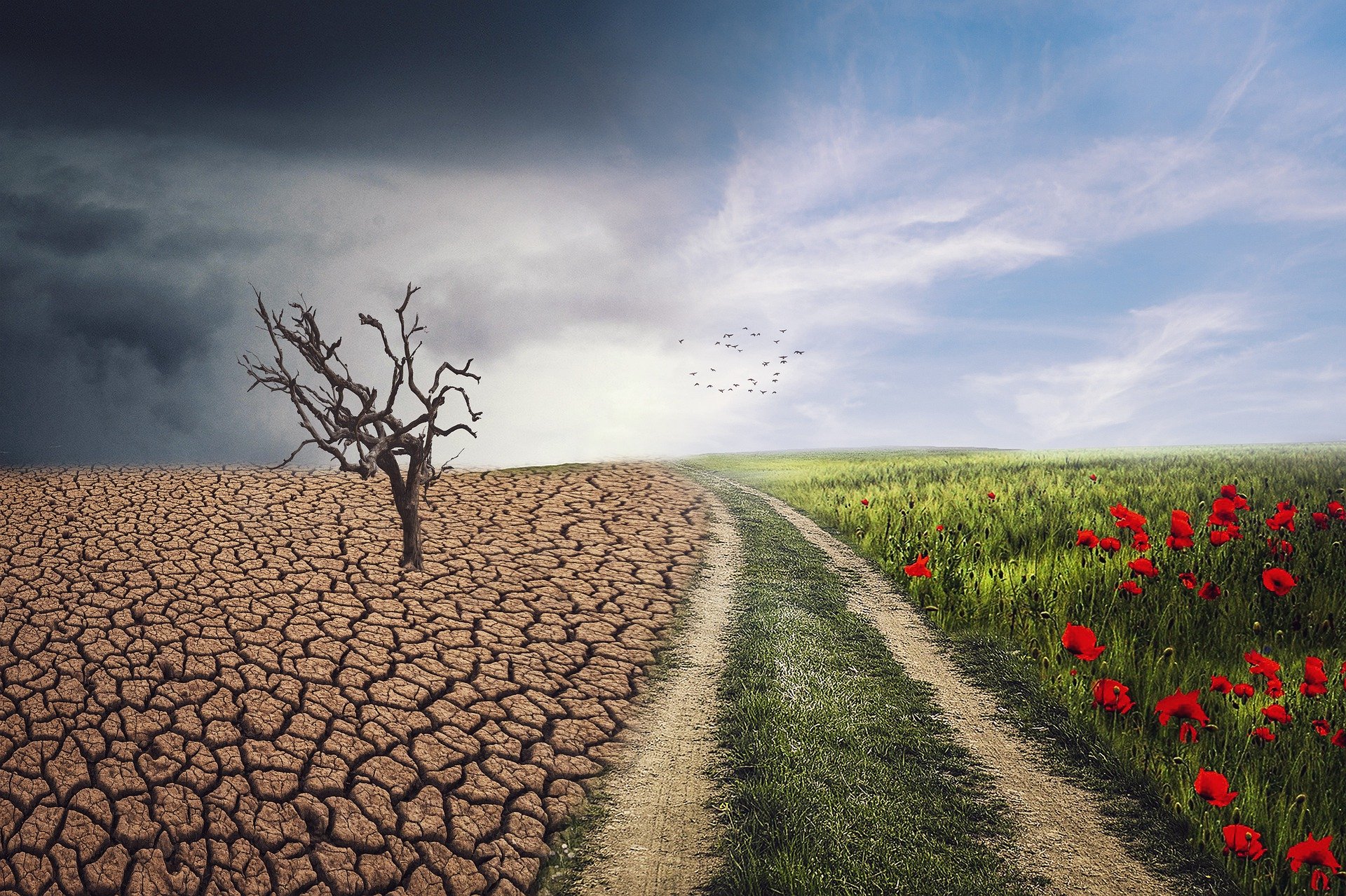 Badania klimatyczne przewiduja katastrofalne upaly