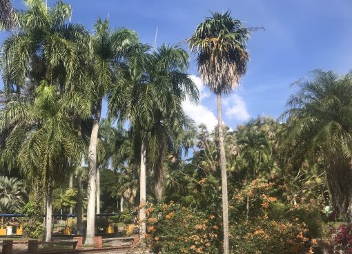 santo domingo - wspinacze