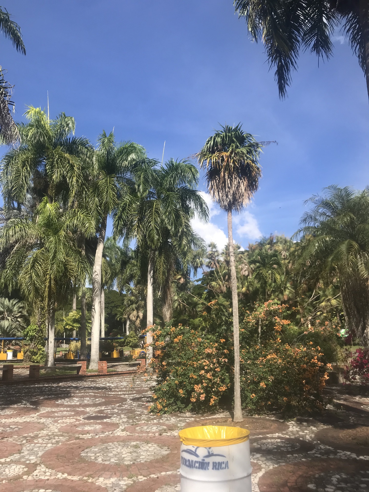santo domingo - wspinacze
